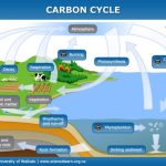 carbon fibre interior trim for Porsche performance style