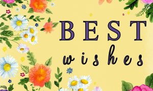 Rowing machines for sale elevate your fitness game