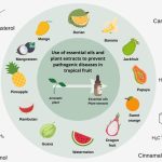 Essential Tips Before Buying Yoga and Pilates Gear Online