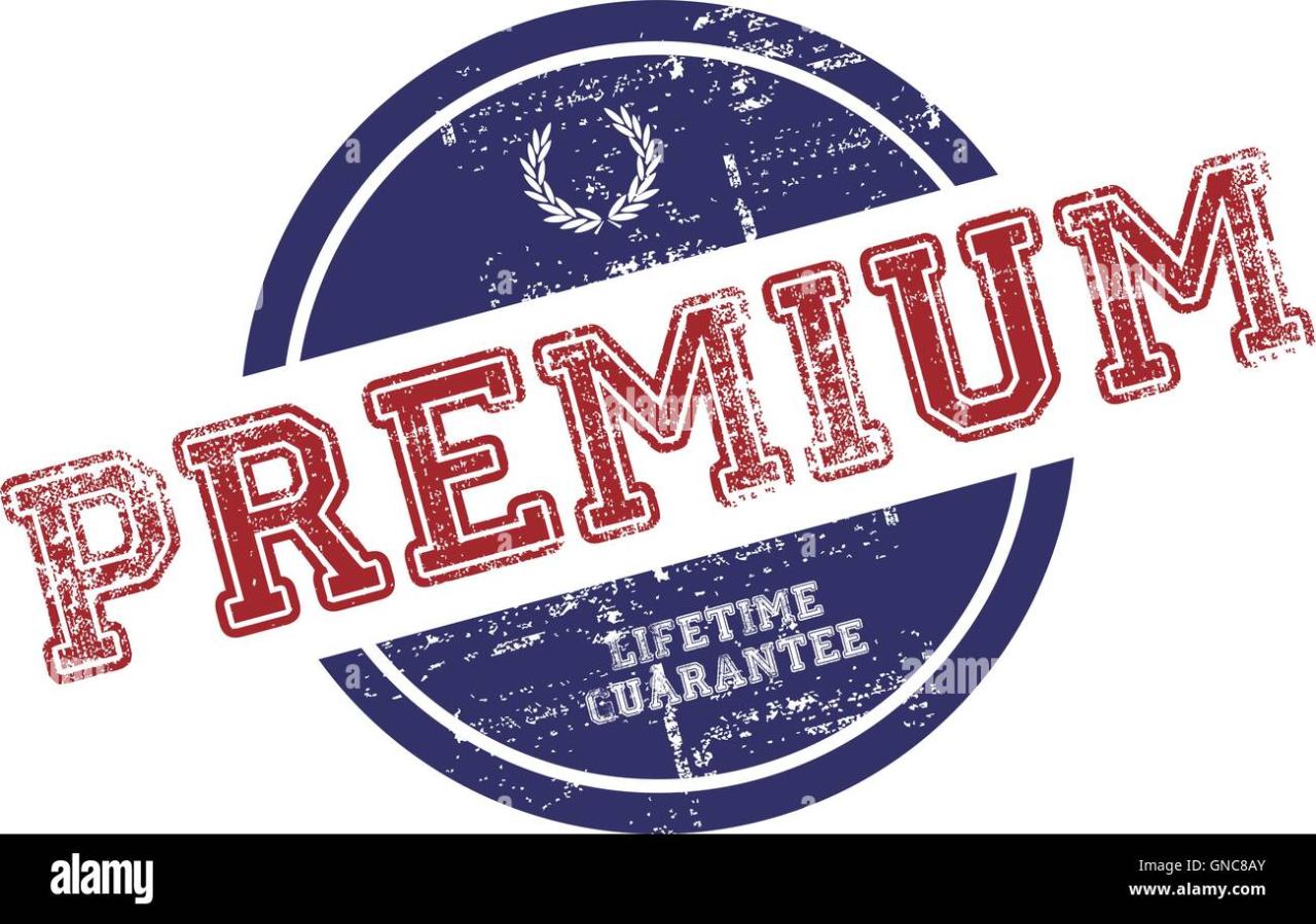 premium car audio head unit Kia for Ultimate Sound