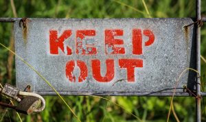 How to Avoid Scams When Buying Auto Parts on the Internet