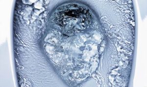 Satis G-Type – Integrated Smart Toilet – LIXIL Overview