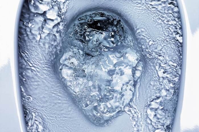 Satis G-Type – Integrated Smart Toilet – LIXIL Overview