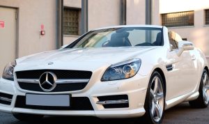 Academy Sports Fitness Equipment For Every Workout