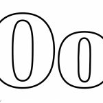 She Fit Sports Bra For Ultimate Comfort And Support