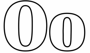 She Fit Sports Bra For Ultimate Comfort And Support