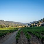 Sports fitness near me discover your local options!