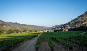 Sports fitness near me discover your local options!