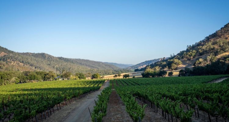 Sports fitness near me discover your local options!