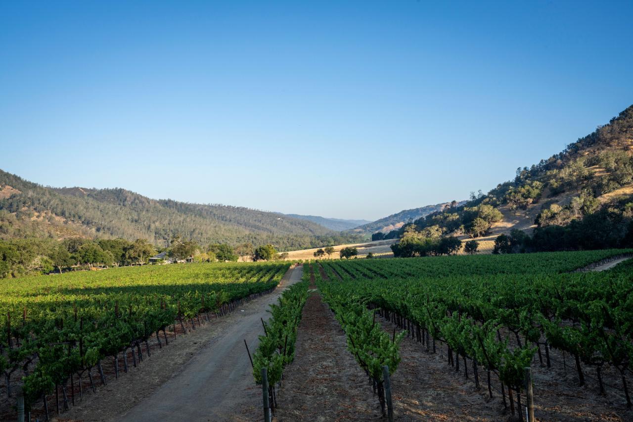 Sports fitness near me discover your local options!