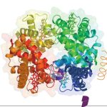 Protein shaker bottles bulk order for unbeatable value