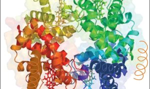 Protein shaker bottles bulk order for unbeatable value Protein shaker bottles bulk order for unbeatable value