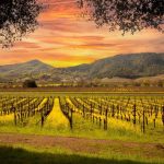 napa parts dealer Discover Quality Automotive Solutions