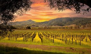 Best deals on automotive lighting upgrades at your fingertips Best deals on automotive lighting upgrades at your fingertips