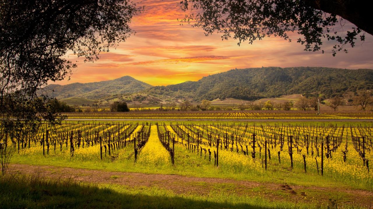 This Top-Rated, Mountainside Winery Features Some Of The Best Views In ... Napa parts dealer
