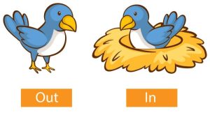 In-Wash Inspira – Smart Shower Toilet – Roca Revolutionizes Hygiene