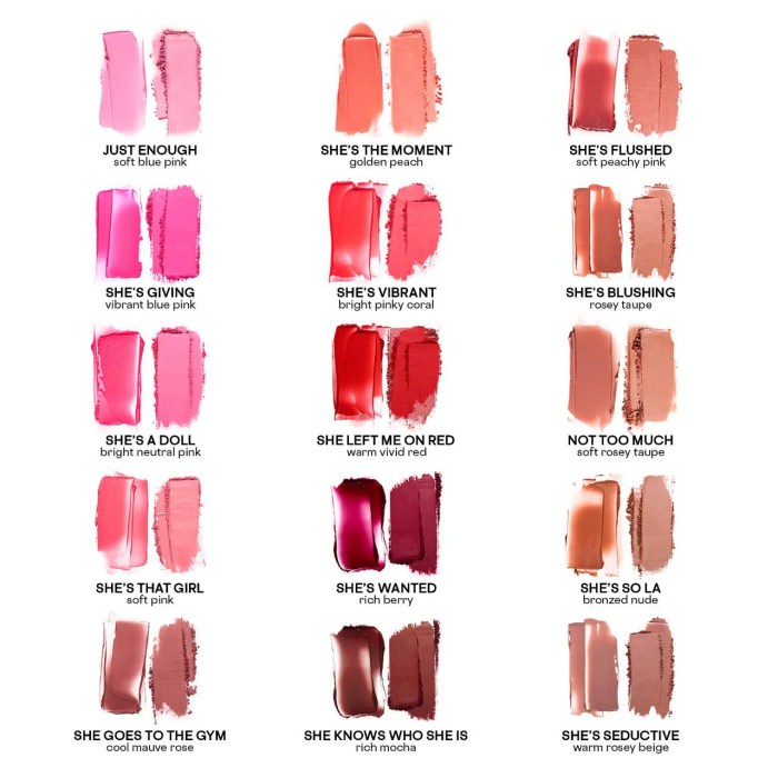 Major Headlines – Double-Take Blush Duo – Patrick Ta