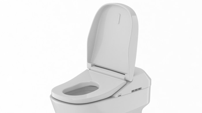 Neorest AS – Dual Flush Smart Toilet – TOTO Innovations