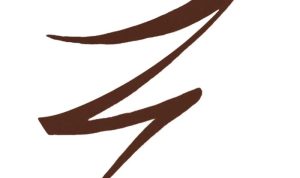 Tattoo Liner – Waterproof Liquid Eyeliner – KVD Beauty