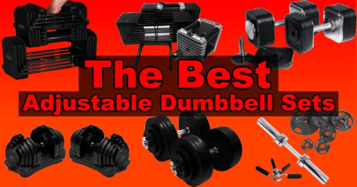 PowerBlock Elite USA Reviewing the Best Space-Saving Adjustable Dumbbell System