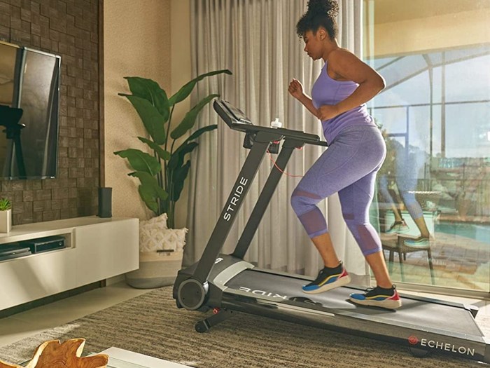 Echelon Stride Auto-Fold Reviewing the Best Space-Saving Motorized Treadmill
