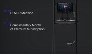 Synergee Games Barbell Evaluating the Best Olympic Barbell for Cross-Training