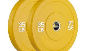 Vulcan Strength Alpha Bumpers Reviewing the Best Low-Bounce Rubber Plates