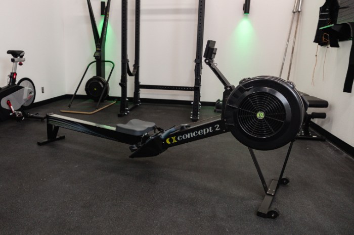 Concept2 RowErg Testing the Gold Standard Air Resistance Rowing Machine