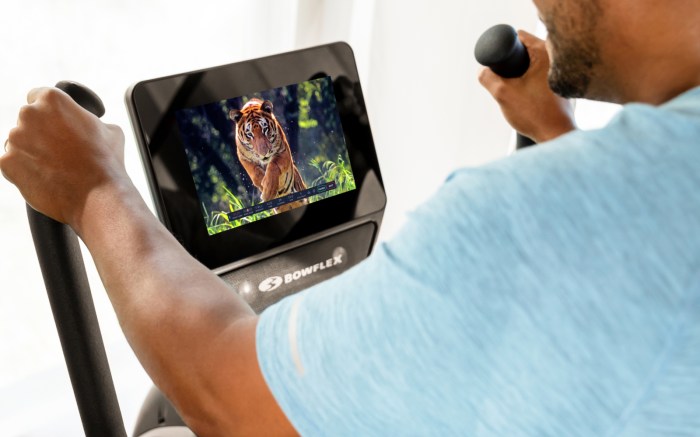 Bowflex Max Trainer M9 Evaluating the Best High-Intensity Elliptical Hybrid