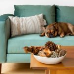 Sabai Essential Sofa Evaluating the Best Eco-Friendly Recycled Velvet Performance