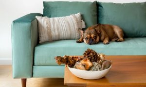 Sabai Essential Sofa Evaluating the Best Eco-Friendly Recycled Velvet Performance